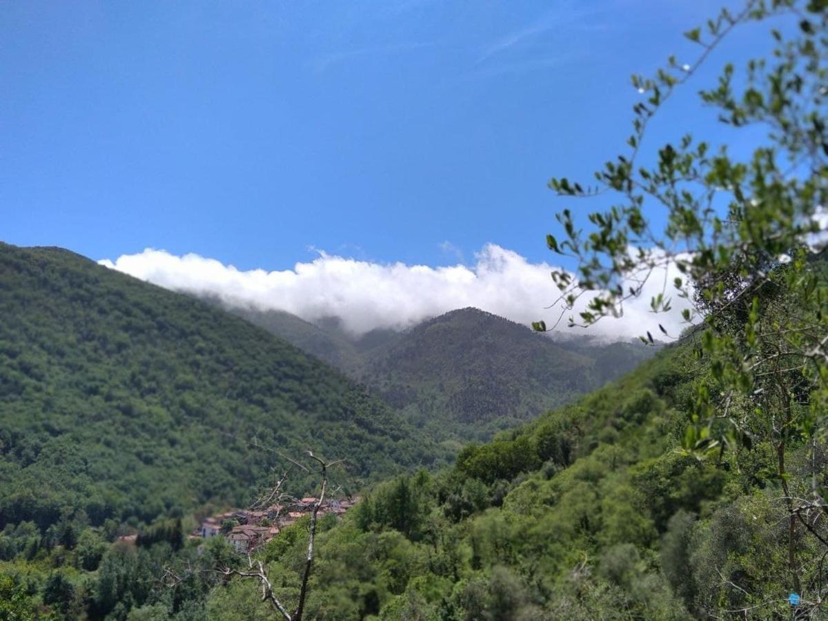 La Cantina Del Sole Riccò del Golfo di Spezia Exteriér fotografie
